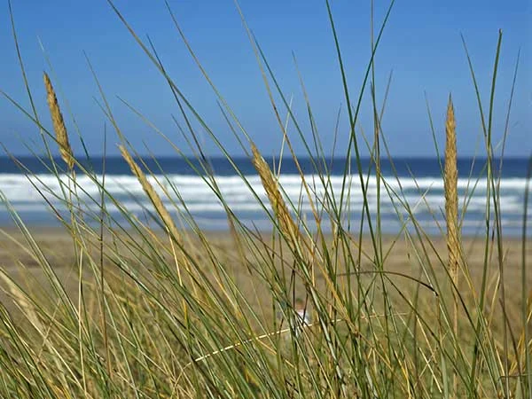 Florida Beaches