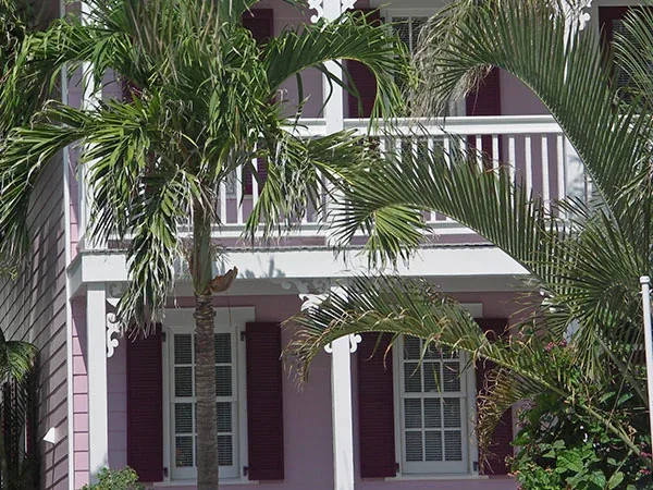 Florida Keys home framed by tropical palms