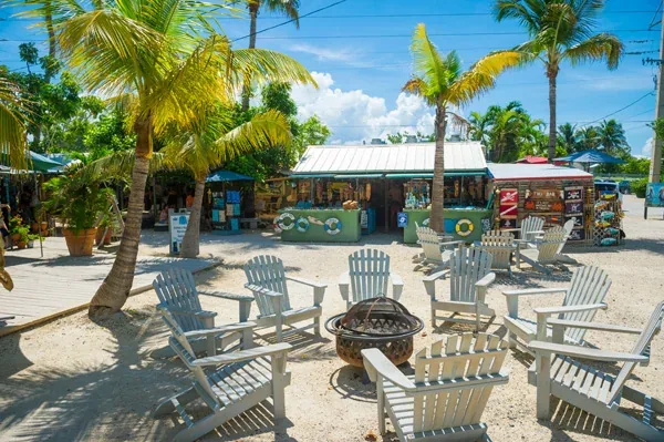 Outdoor waterfront seating under palms in Islamorada