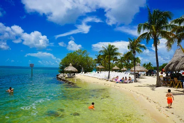 Palm-lined beach and clear water in Key Largo