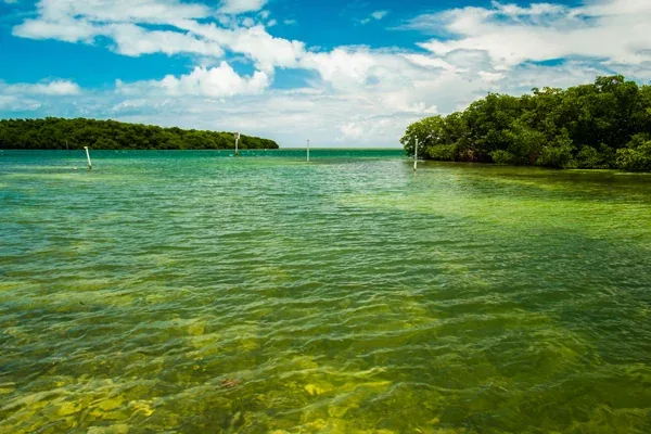 Shallow turquoise water near Tavernier